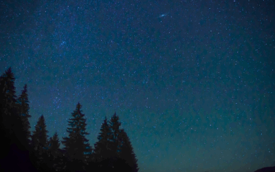 Miért nem hatékony a céged email kampánya – és hogyan javítunk rajta?